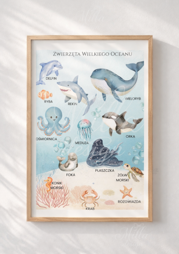 zwierzeta ocean skl 4.png