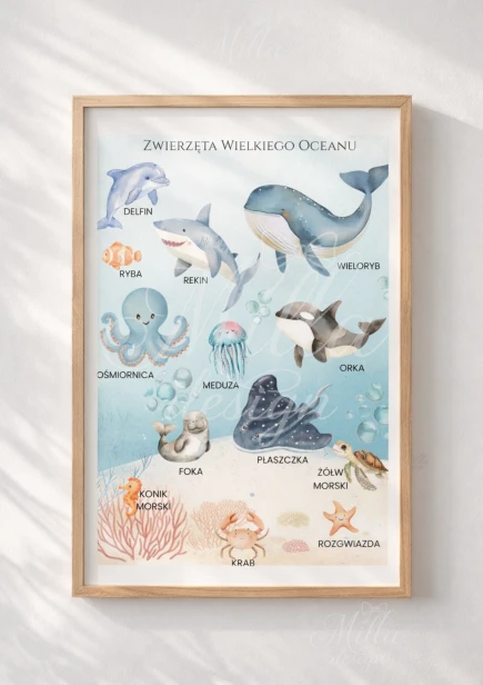 zwierzeta ocean skl 4.png